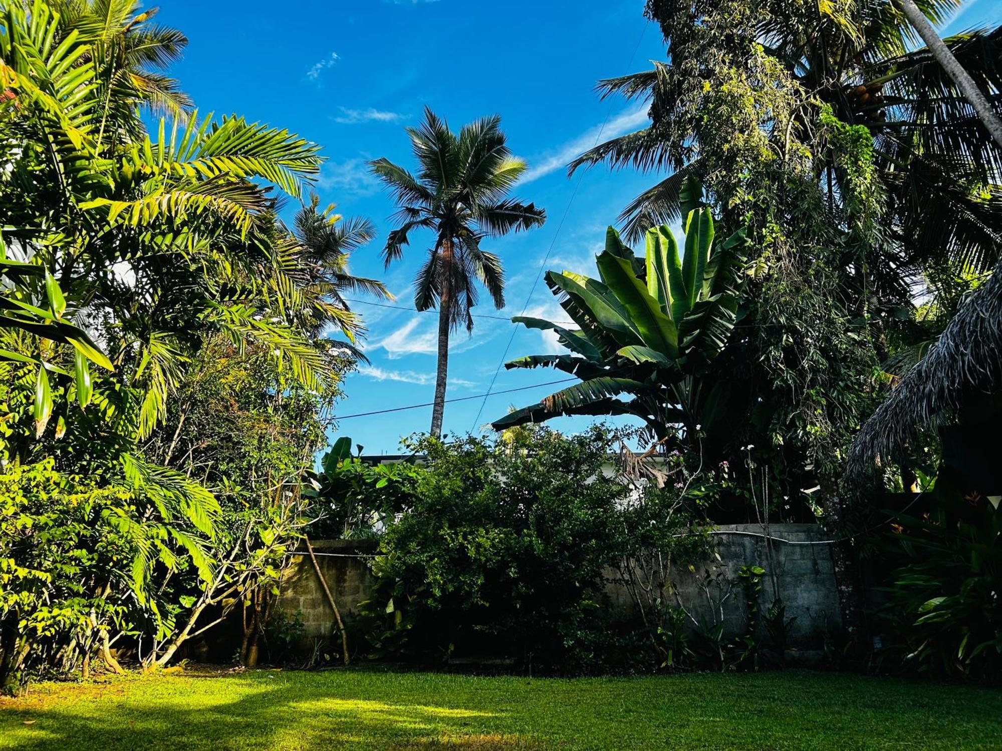 Shadow Surf Bay Hotel Tangalle Eksteriør billede